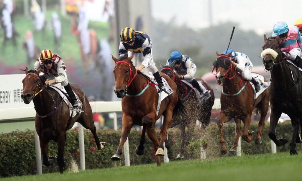 #horseracing3 – Fully invested into analytics!