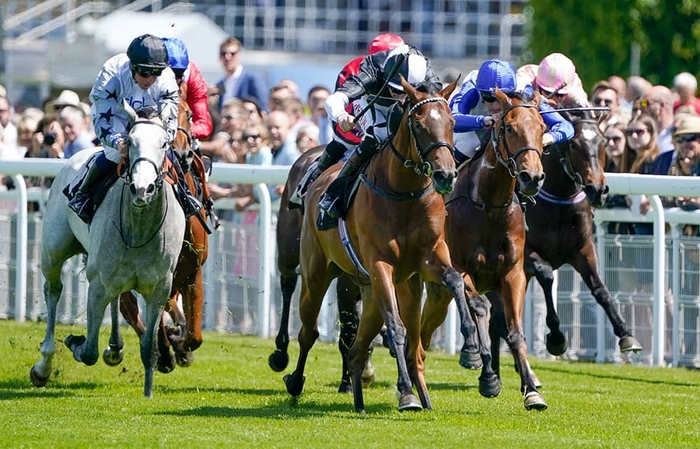 #horseracing1 – The start of something new… data! #horseracing1 – The start of something new… data!