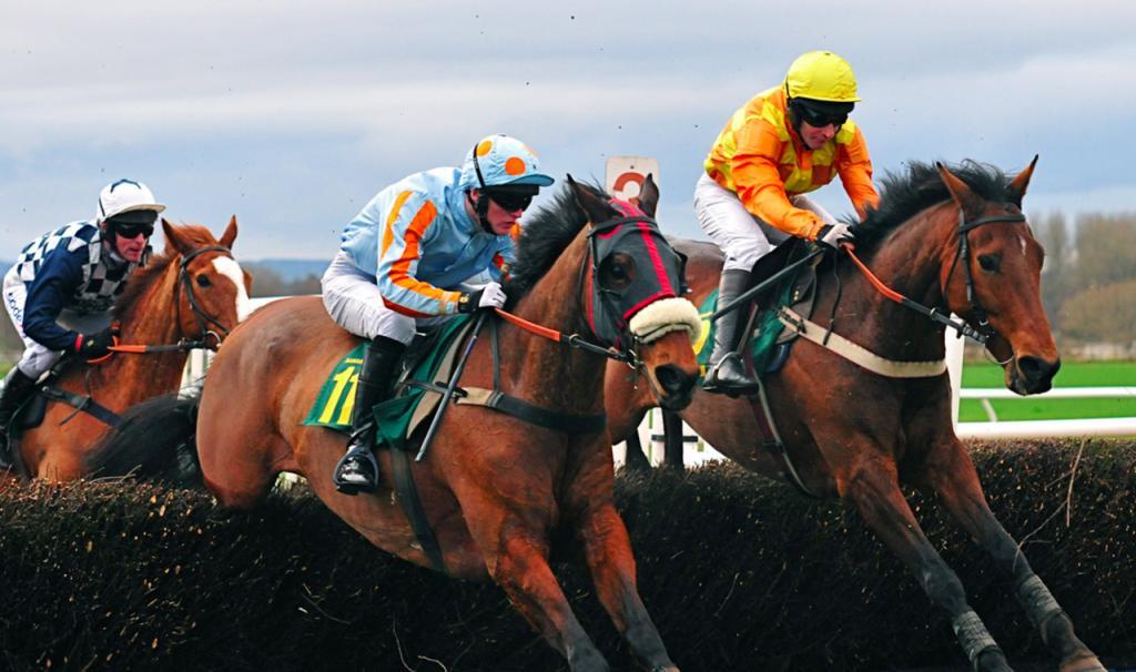 #horseracing5 – Draw Bias, Placepot dabbling and new reading material #horseracing5 – Draw Bias, Placepot dabbling and new reading material